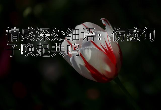 情感深处细语：伤感句子唤起共鸣