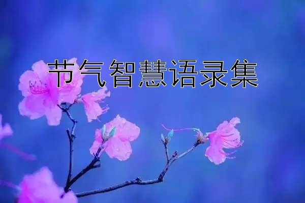 节气智慧语录集