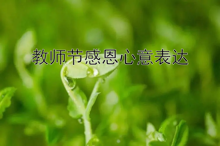 教师节感恩心意表达