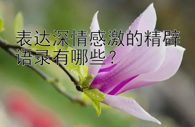 表达深情感激的精辟语录有哪些？