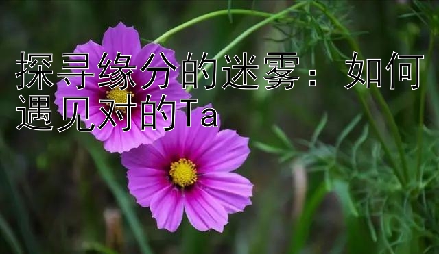 探寻缘分的迷雾：如何遇见对的Ta