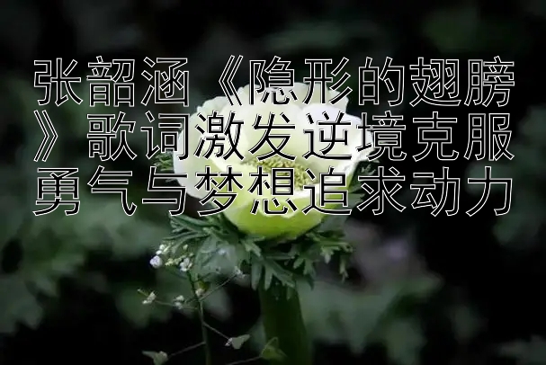 张韶涵《隐形的翅膀》歌词激发逆境克服勇气与梦想追求动力