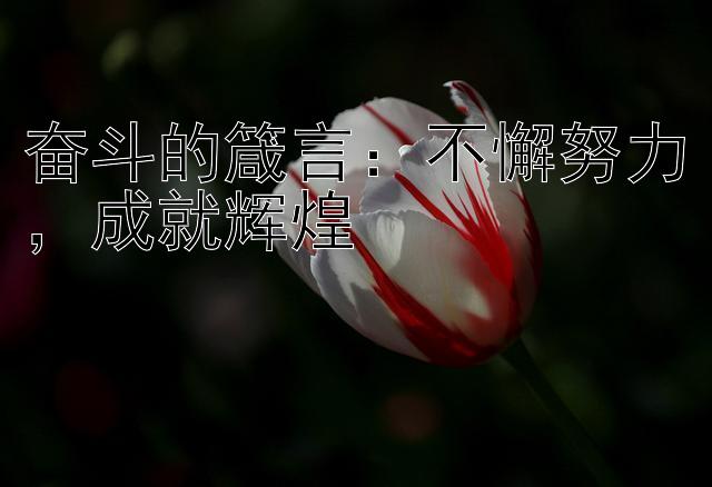 奋斗的箴言：不懈努力，成就辉煌