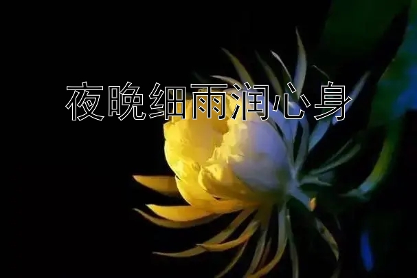 夜晚细雨润心身