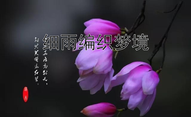 细雨编织梦境