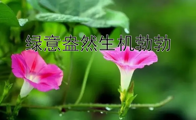 绿意盎然生机勃勃