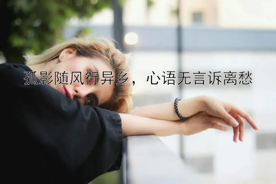 孤影随风行异乡，心语无言诉离愁