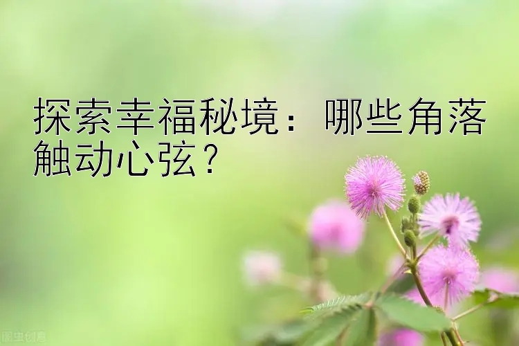 探索幸福秘境：哪些角落触动心弦？