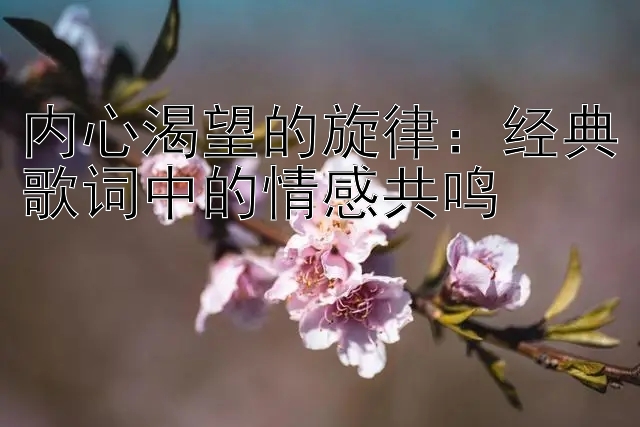 内心渴望的旋律：经典歌词中的情感共鸣