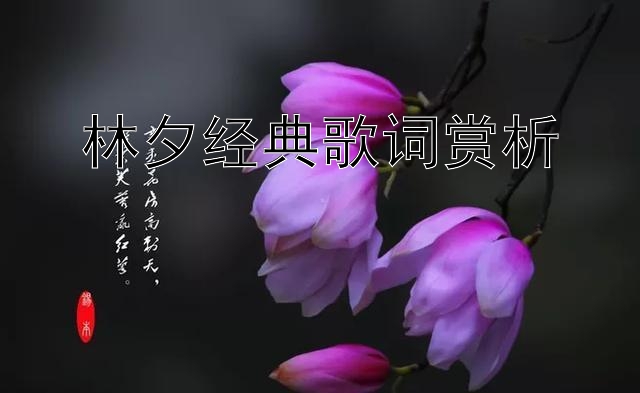 林夕经典歌词赏析