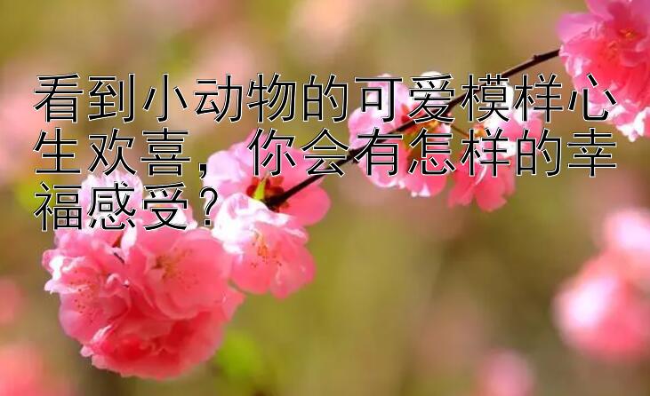 看到小动物的可爱模样心生欢喜，你会有怎样的幸福感受？