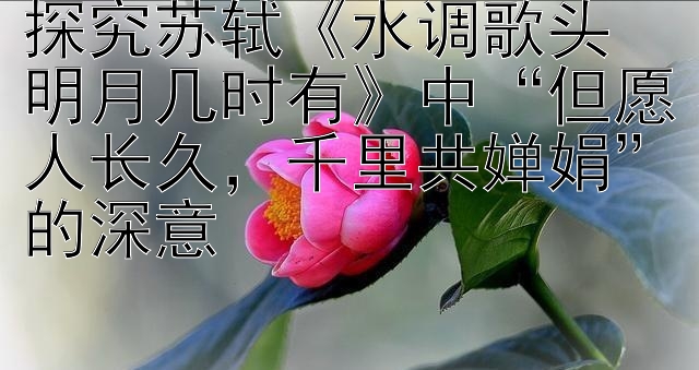 探究苏轼《水调歌头・明月几时有》中“但愿人长久，千里共婵娟”的深意