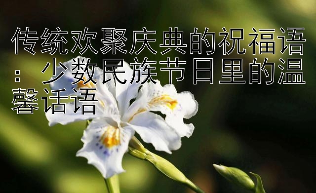 传统欢聚庆典的祝福语：少数民族节日里的温馨话语