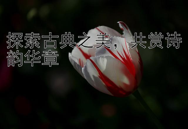 探索古典之美，共赏诗韵华章