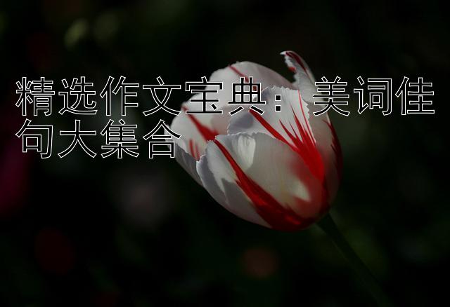 精选作文宝典：美词佳句大集合