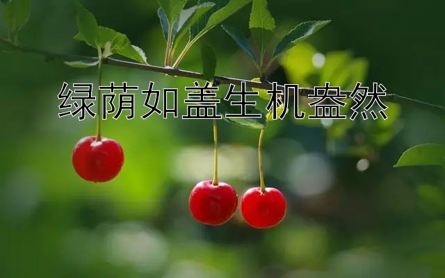 绿荫如盖生机盎然