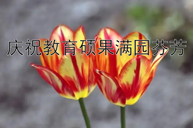 庆祝教育硕果满园芬芳