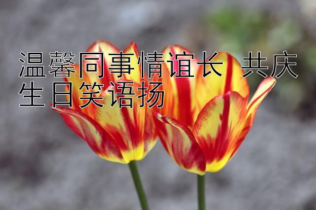 温馨同事情谊长 共庆生日笑语扬