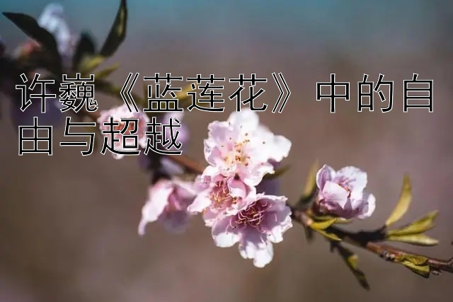 许巍《蓝莲花》中的自由与超越