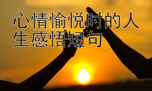 心情愉悦时的人生感悟短句