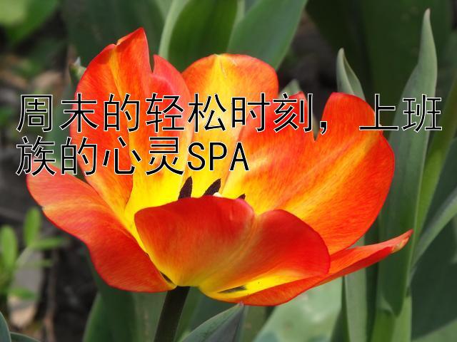 周末的轻松时刻，上班族的心灵SPA