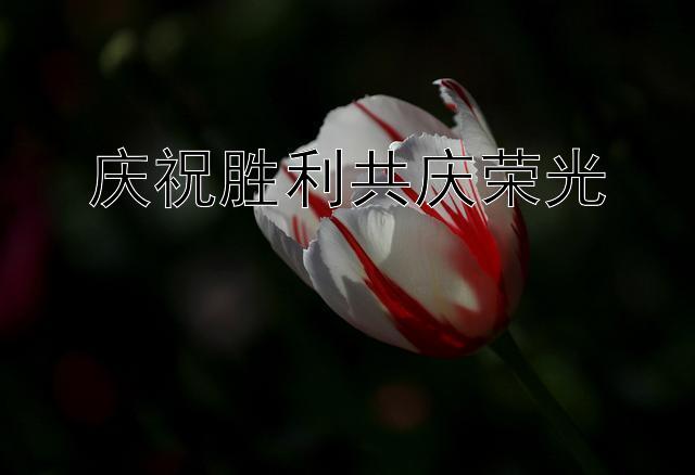 庆祝胜利共庆荣光