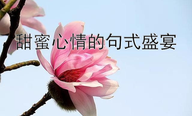 甜蜜心情的句式盛宴