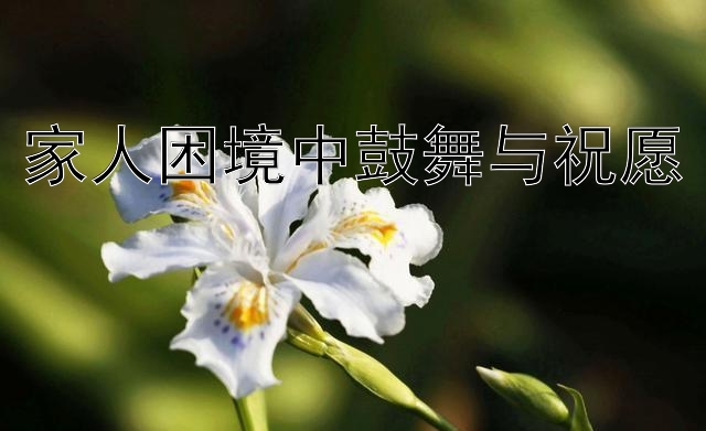 家人困境中鼓舞与祝愿