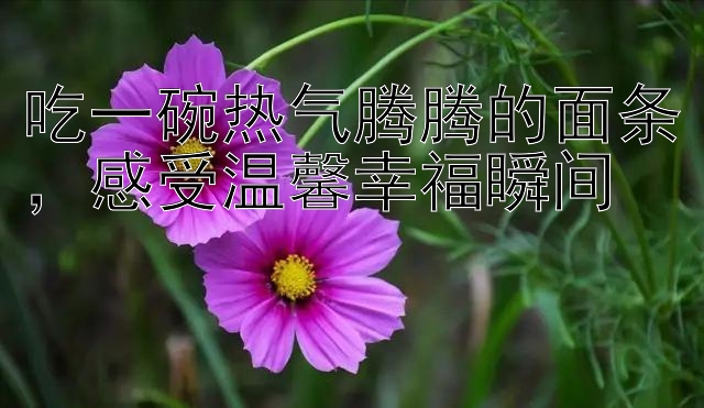 吃一碗热气腾腾的面条，感受温馨幸福瞬间