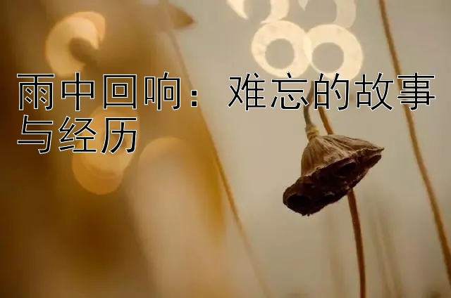 雨中回响：难忘的故事与经历