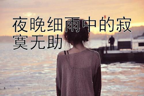 夜晚细雨中的寂寞无助