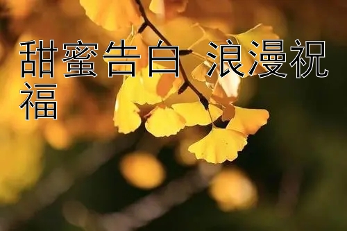 甜蜜告白 浪漫祝福