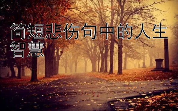 简短悲伤句中的人生智慧