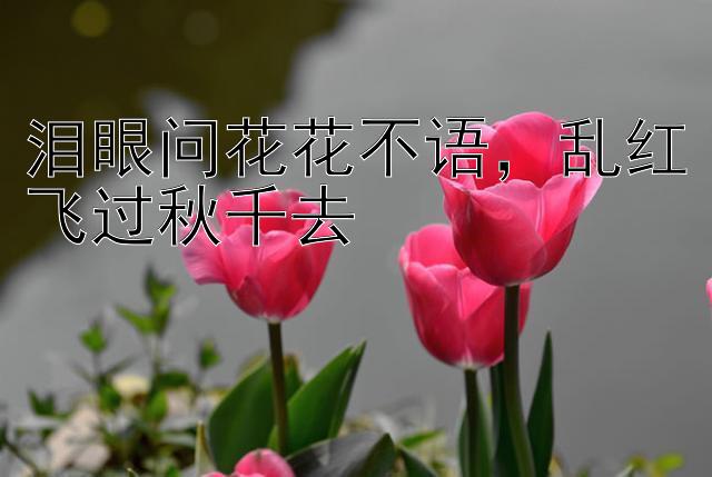 泪眼问花花不语，乱红飞过秋千去