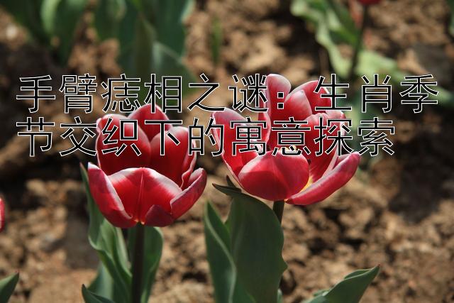 手臂痣相之谜：生肖季节交织下的寓意探索