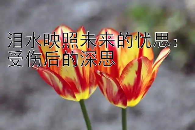 泪水映照未来的忧思：受伤后的深思