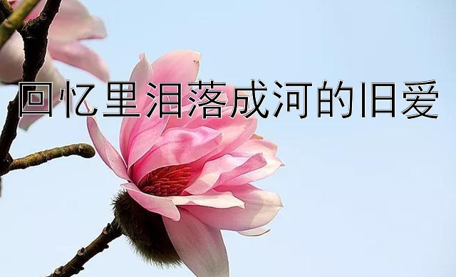 回忆里泪落成河的旧爱