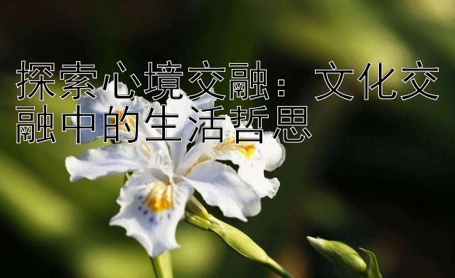 探索心境交融：文化交融中的生活哲思