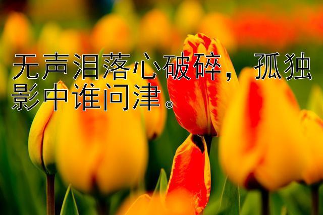 无声泪落心破碎，孤独影中谁问津。