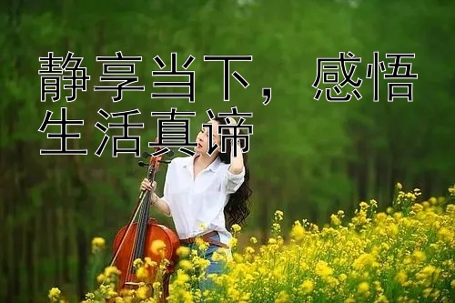 静享当下，感悟生活真谛