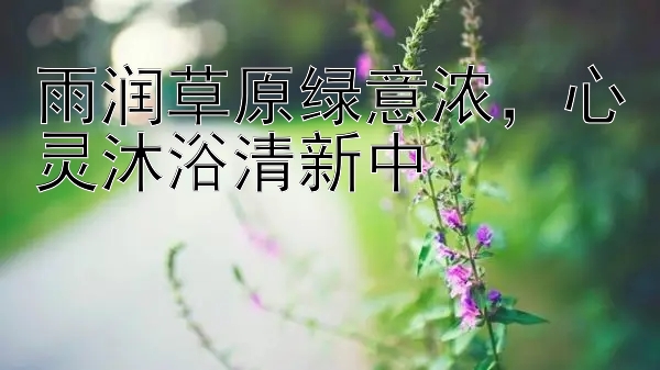 雨润草原绿意浓，心灵沐浴清新中