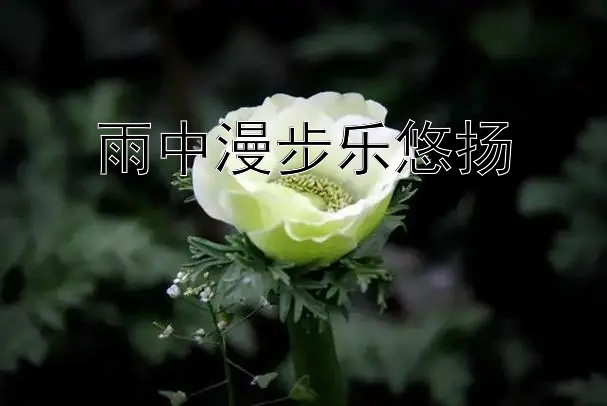 雨中漫步乐悠扬