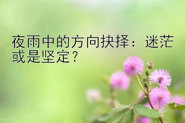 夜雨中的方向抉择：迷茫或是坚定？