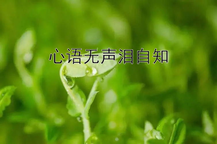 心语无声泪自知