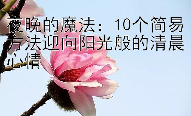 夜晚的魔法：10个简易方法迎向阳光般的清晨心情