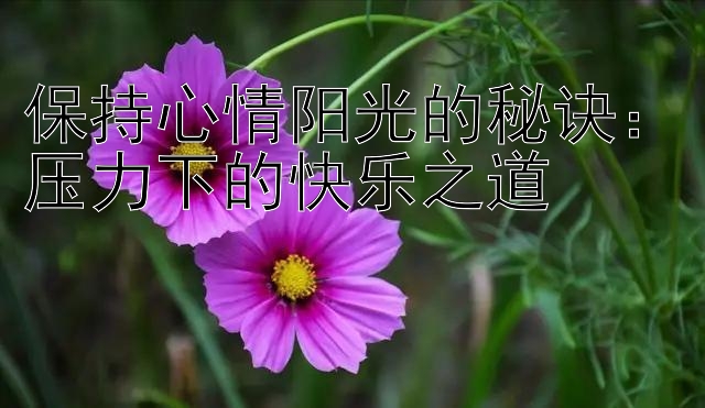 保持心情阳光的秘诀：压力下的快乐之道