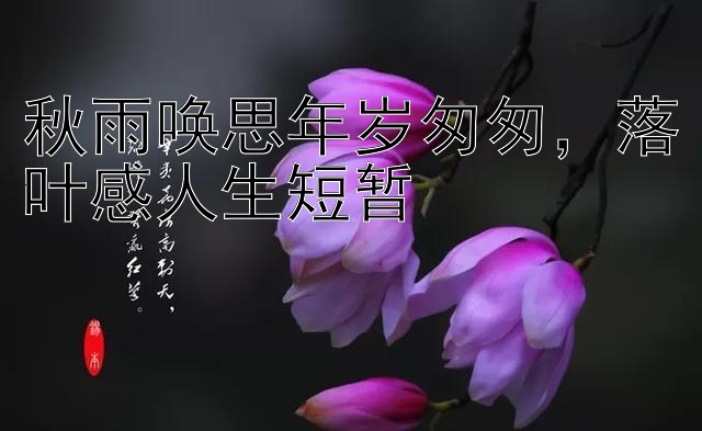 秋雨唤思年岁匆匆，落叶感人生短暂