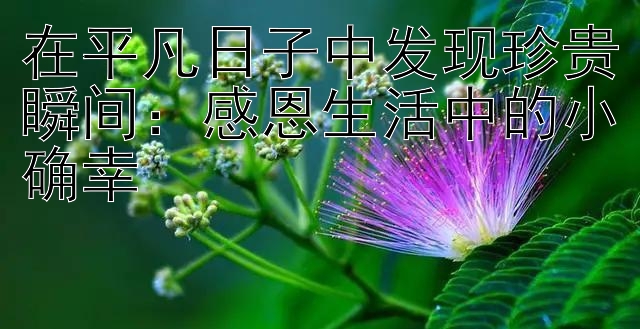 在平凡日子中发现珍贵瞬间：感恩生活中的小确幸