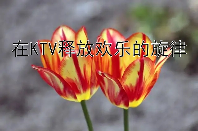 在KTV释放欢乐的旋律