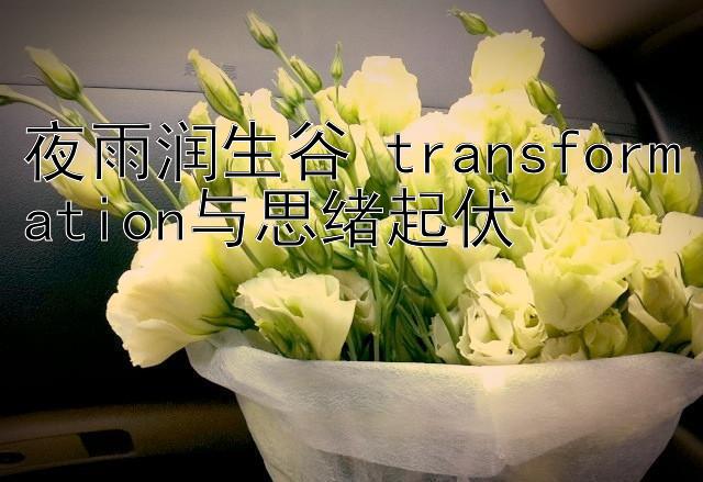 夜雨润生谷 transformation与思绪起伏